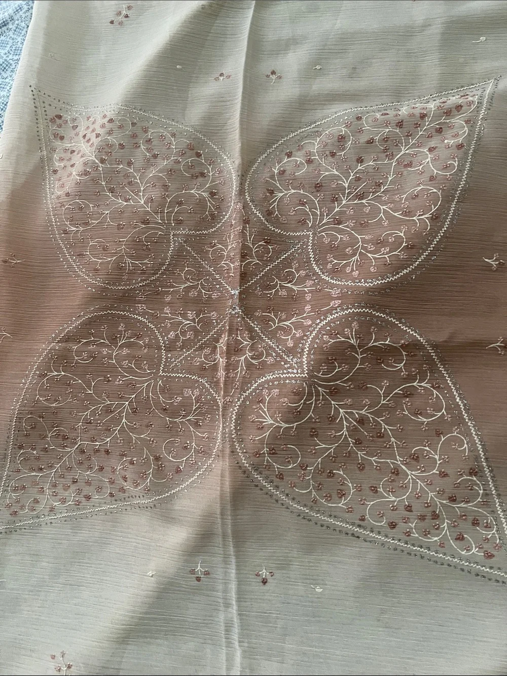 Embroidered Ombre Sheer Scarf in Blush and Cream